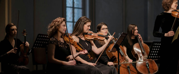 pexels-cottonbro-7095028 1